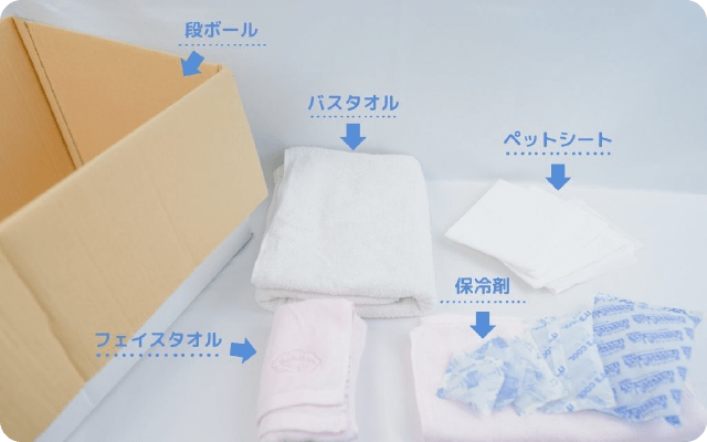 ペットちゃんが入れる箱を用意する