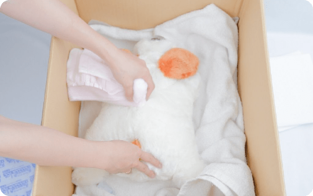 からだを綺麗にする